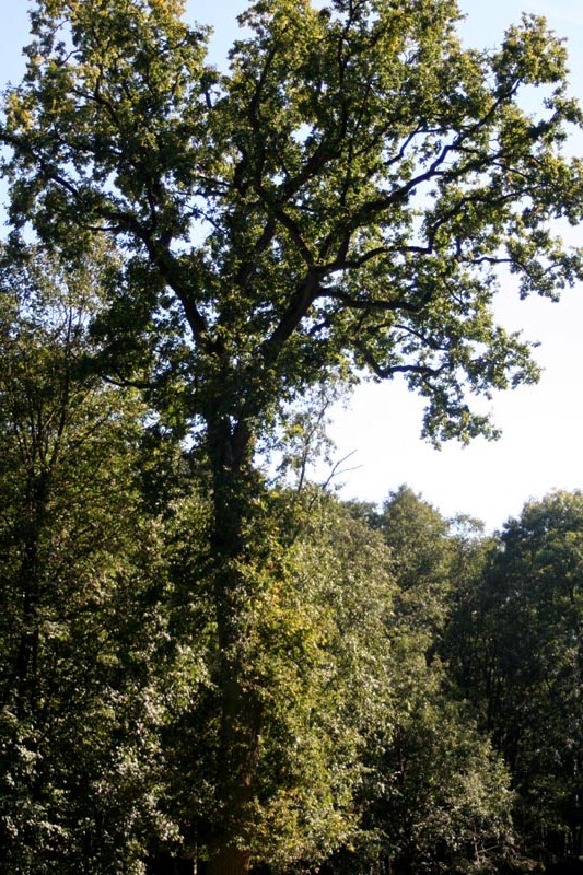 Killikus&reg; Fotographie